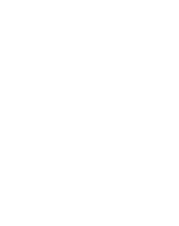 asset 0002 13 copy.png